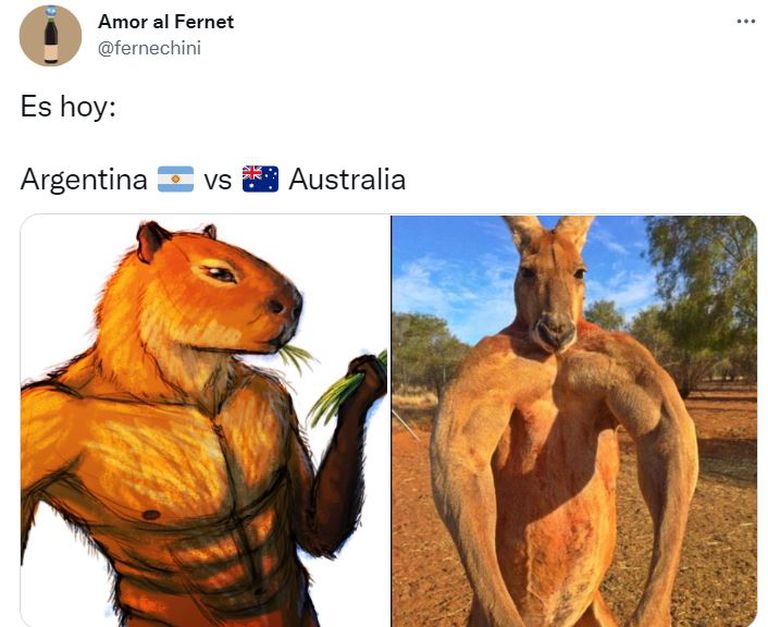 Os memes da Argentina - Austrália