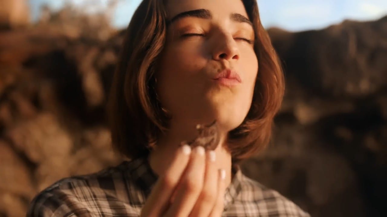 COFLER - Mas que galletitas son un re postre ( Argentina 2024 )