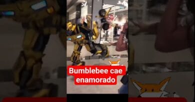 A Bumblebee el amor lo desarma !!!