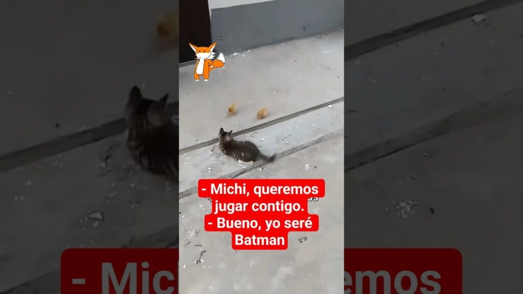 Gatito 🐱 juega con 2 pollitos 🐤 a qué el es 
