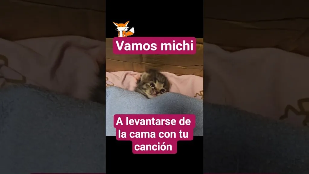 Gatito remolón se levanta de la camita si la mamá le canta 1 canción