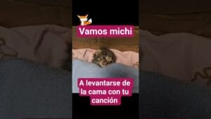 Gatito remolón se levanta de la camita si la mamá le canta 1 canción