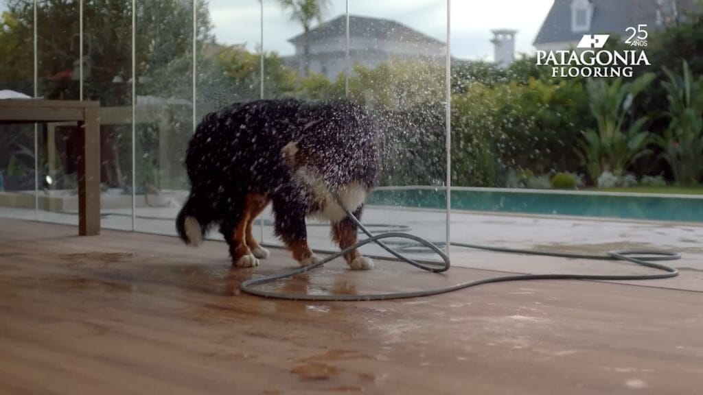 IVÁN DE PINEDA tiene 1 perro quilombero pero PATAGONIA FLOORING