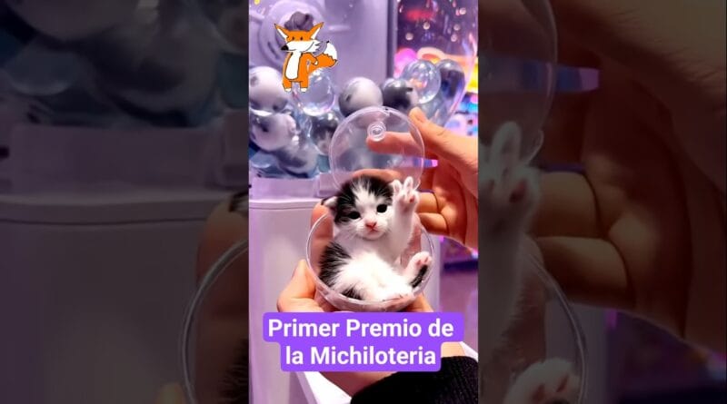 Este es el premio que saqué en la Michi Lotería de Navidad