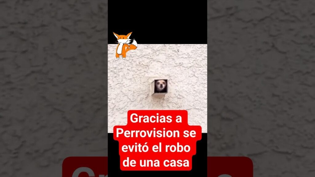 PERROVISION de VERISURE evitó el robo de un hogar de zona sur