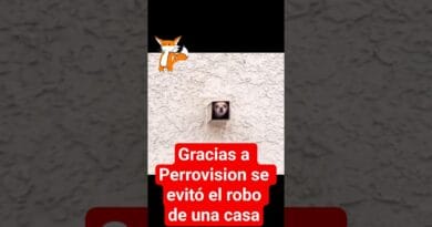 PERROVISION de VERISURE  evitó el robo de un hogar de zona sur