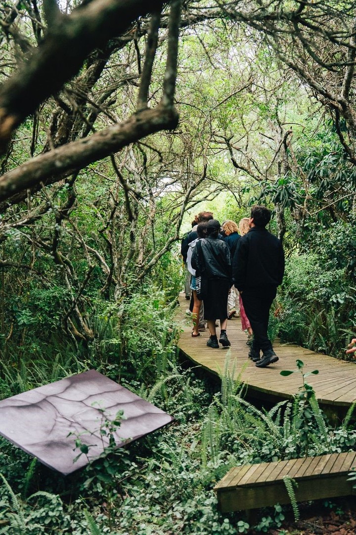 El sendero dentro del Espacio Las Musas, sede de Focus. 