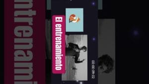 Colapinto entrena a Julián Álvarez a su estilo 🔥 El Colapinto entrena a Julián Álvarez a su estilo 🔥 El cruce inesperado