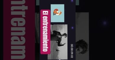 Colapinto entrena a Julián Álvarez a su estilo 🔥 El cruce inesperado