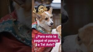 Nelson Castro viajó a Israel a mostrarnos alarmas y refugios