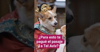 Nelson Castro viajó a Israel a mostrarnos alarmas y refugios