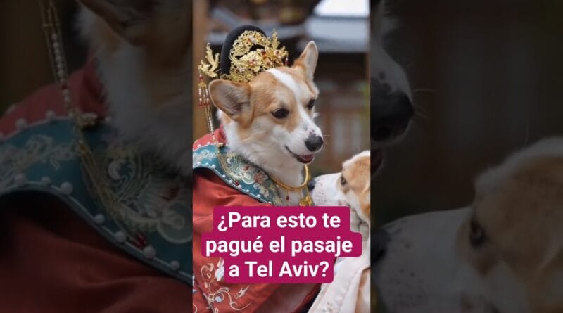 Nelson Castro viajó a Israel a mostrarnos alarmas y refugios