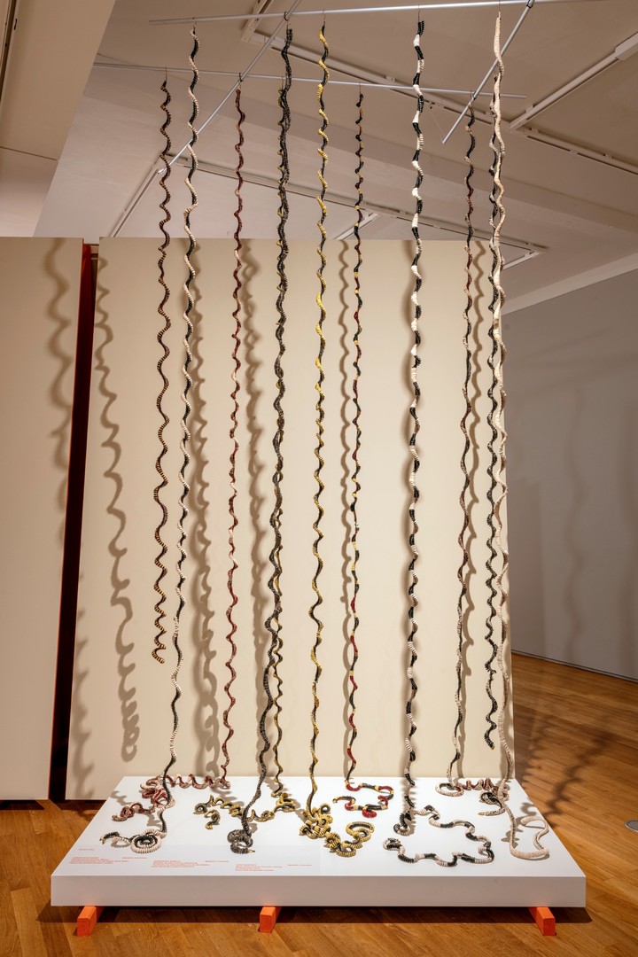 Serpientes Semilla de Xandra Uribe, en el Museo Grassi (Leipzig) que alberga The Soul of Objects (El alma de los objetos).